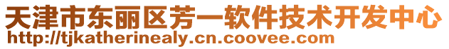 天津市東麗區芳一軟件技術開發中心
