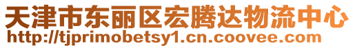 天津市東麗區(qū)宏騰達(dá)物流中心