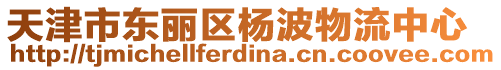 天津市東麗區楊波物流中心