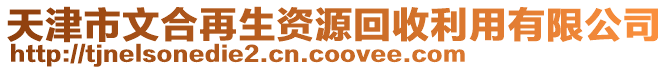 天津市文合再生資源回收利用有限公司