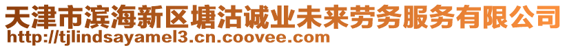 天津市濱海新區(qū)塘沽誠業(yè)未來勞務(wù)服務(wù)有限公司