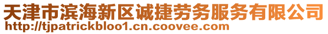 天津市濱海新區(qū)誠捷勞務(wù)服務(wù)有限公司