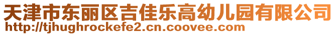 天津市東麗區(qū)吉佳樂高幼兒園有限公司