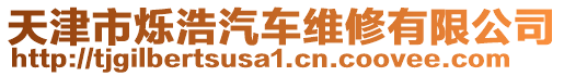 天津市爍浩汽車維修有限公司