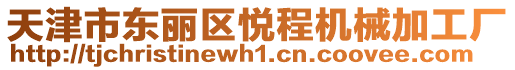 天津市東麗區(qū)悅程機(jī)械加工廠