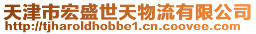 天津市宏盛世天物流有限公司