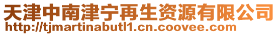 天津中南津?qū)幵偕Y源有限公司