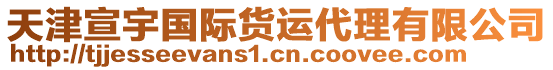 天津宣宇國際貨運(yùn)代理有限公司