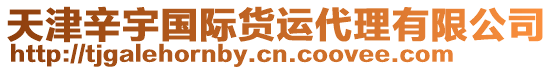 天津辛宇國際貨運(yùn)代理有限公司