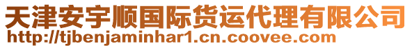 天津安宇順國(guó)際貨運(yùn)代理有限公司