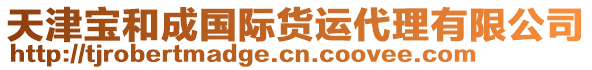 天津?qū)毢统蓢H貨運代理有限公司