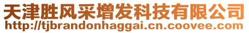 天津勝風(fēng)采增發(fā)科技有限公司