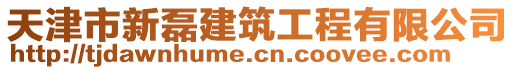 天津市新磊建筑工程有限公司