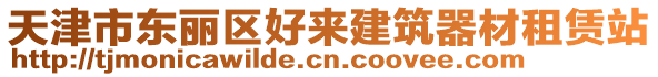 天津市東麗區(qū)好來(lái)建筑器材租賃站