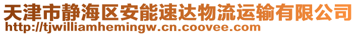 天津市靜海區(qū)安能速達物流運輸有限公司