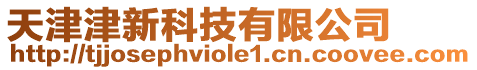 天津津新科技有限公司