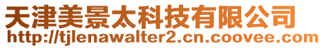 天津美景太科技有限公司