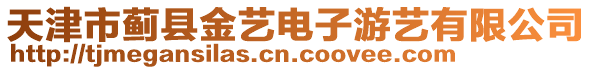 天津市薊縣金藝電子游藝有限公司