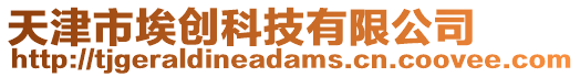 天津市埃創(chuàng)科技有限公司