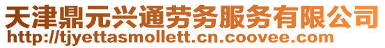 天津鼎元興通勞務服務有限公司