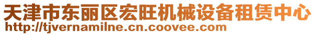 天津市東麗區(qū)宏旺機械設(shè)備租賃中心