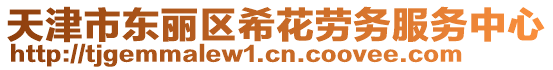 天津市東麗區希花勞務服務中心