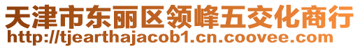 天津市東麗區(qū)領(lǐng)峰五交化商行
