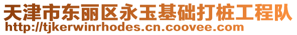 天津市東麗區(qū)永玉基礎(chǔ)打樁工程隊