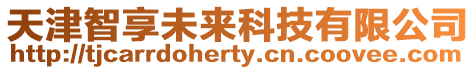 天津智享未來科技有限公司