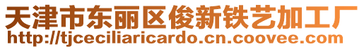 天津市東麗區俊新鐵藝加工廠