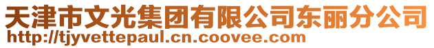 天津市文光集團(tuán)有限公司東麗分公司