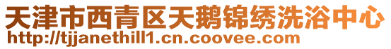 天津市西青區天鵝錦繡洗浴中心