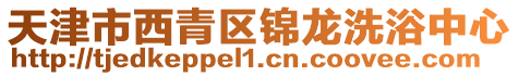 天津市西青區錦龍洗浴中心