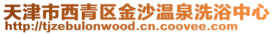 天津市西青區金沙溫泉洗浴中心
