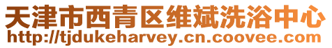 天津市西青區(qū)維斌洗浴中心