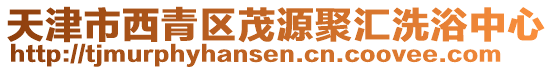 天津市西青區茂源聚匯洗浴中心