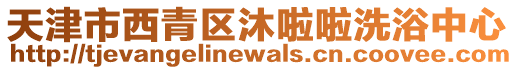 天津市西青區沐啦啦洗浴中心