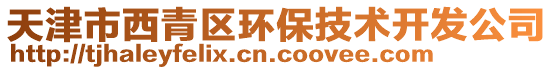 天津市西青區環保技術開發公司