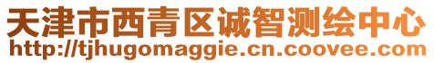 天津市西青區誠智測繪中心