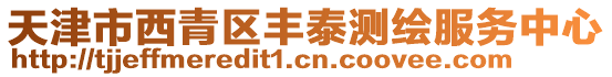 天津市西青區豐泰測繪服務中心