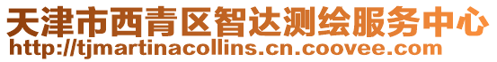 天津市西青區智達測繪服務中心