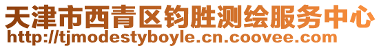 天津市西青區鈞勝測繪服務中心