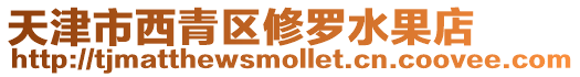 天津市西青區修羅水果店