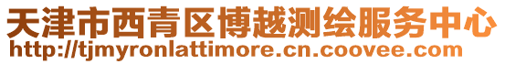 天津市西青區博越測繪服務中心