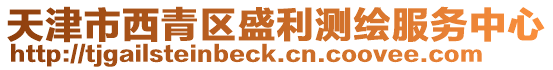 天津市西青區(qū)盛利測繪服務(wù)中心