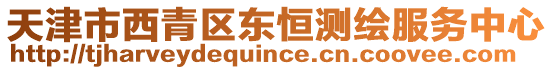 天津市西青區(qū)東恒測繪服務中心