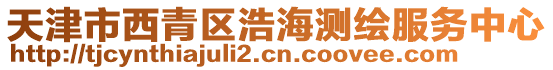 天津市西青區浩海測繪服務中心