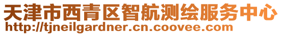 天津市西青區智航測繪服務中心