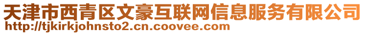 天津市西青區文豪互聯網信息服務有限公司