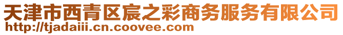天津市西青區(qū)宸之彩商務(wù)服務(wù)有限公司